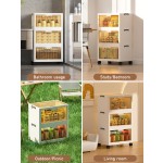 Wardrobe Storage Box Manufacturer - 5 Layer Transparent Rectangle