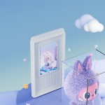 Figurine Storage Box Manufacturer - Large PET ABS Labubu