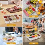 Snack Box Manufacturer - 4 Grid Plastic Divided Container