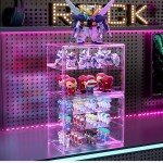 Storage Container Manufacturer - High Acrylic Plastic Organizer