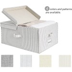 Organizer Bin Manufacturer - Modern Double Lid Portable