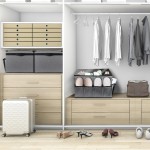 Shoe Organizer Manufacturer - for Closet with Transparent Cover