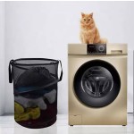 Laundry Basket Manufacturer - Foldable Spiral Pop-up Mesh