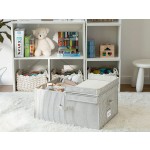 Organizer Bin Manufacturer - Modern Double Lid Portable