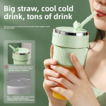 Electric Juicer Manufacturer - 350ml Capacity USB Power