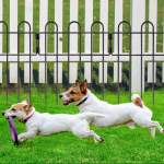 Animal Barrier Fence Factory - Garden Decorative Rustproof Metal