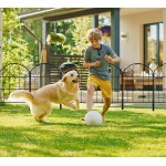 Animal Barrier Fence Factory - Garden Decorative Rustproof Metal