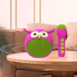 Bluetooth Speaker Manufacturer - Owl-Shaped Portable Mini Stereo