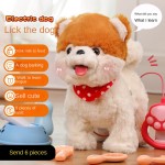 Electronic Plush Dog Manufacturer - Simulation Walk Call Function