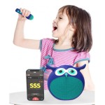 Bluetooth Speaker Manufacturer - Owl-Shaped Portable Mini Stereo