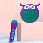 Bluetooth Speaker Manufacturer - Owl-Shaped Portable Mini Stereo