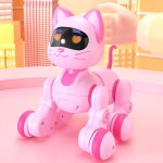 RC Robot Toy Manufacturer - Electronic Remote Control Car