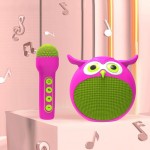 Bluetooth Speaker Manufacturer - Owl-Shaped Portable Mini Stereo