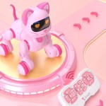 RC Robot Toy Manufacturer - Electronic Remote Control Car