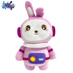 Animal Plush Toy Factory - Koala Spacemal Design