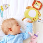 Baby Blanket Manufacturer - Stuffed Animal Plush Sleep