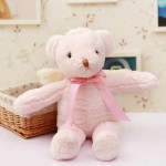 Angel Bear Manufacturer - 40cm Pink Wings