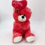 Big Teddy Manufacturer - Wholesale Red Giant