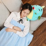 Animal Pillow Manufacturer - 2 in 1 Set