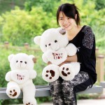 Embroidery Bear Manufacturer - 80cm China Wholesale
