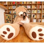 Giant Teddy Manufacturer - Custom 2m Big Plush