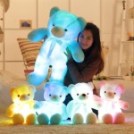 LED Bear Manufacturer - Dropshipping 50cm