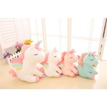 Unicorn Plush Manufacturer - Custom Wholesale Rainbow