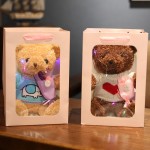 Valentine Bear Manufacturer - Pretty Gift 30cm