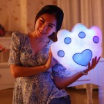 Luminous Pillow Manufacturer - Appeasing Glow LED