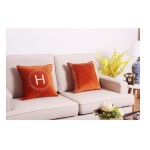 Throw Pillow Manufacturer - Velvet Cover Polyester