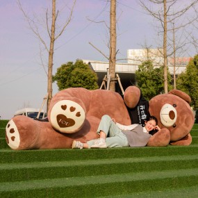 Teddy Skin Manufacturer - Custom Wholesale Giant