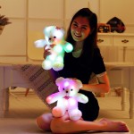 Glow Teddy Manufacturer - E-packet 38cm