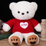 Big Teddy Manufacturer - 160cm with T-shirt