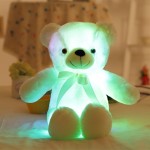 LED Bear Manufacturer - Dropshipping 50cm