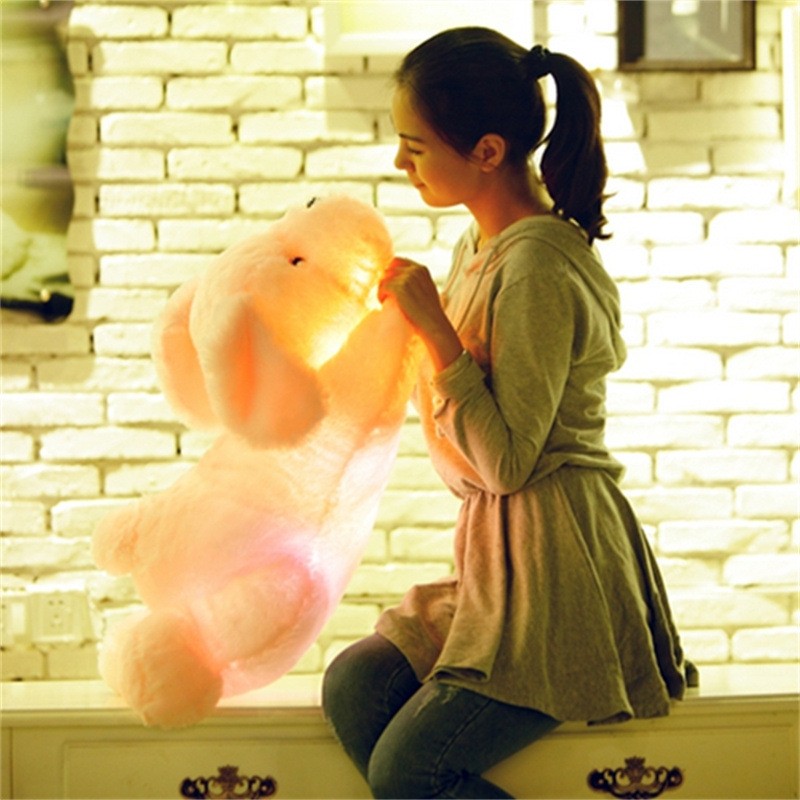 Glowing Dog Toy Manufacturer - 50cm LED Plush