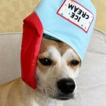 Pet Gift Bag Manufacturer - Cross-border Cat Dog