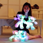 Glow Teddy Manufacturer - E-packet 38cm