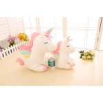 Unicorn Plush Manufacturer - Custom Wholesale Rainbow