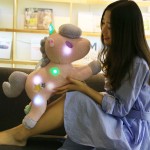 LED Plush Manufacturer - Wholesale Battery 55cm