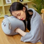 Animal Blanket Manufacturer - 3 in 1 Cartoon