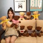 Valentine Bear Manufacturer - Pretty Gift 30cm