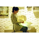 Glowing Dog Toy Manufacturer - 50cm LED Plush