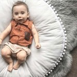 Pet House Manufacturer - 2022 New Design