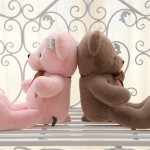 Bowtie Teddy Manufacturer - 60cm Valentine Gift