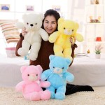 LED Bear Manufacturer - Dropshipping 50cm
