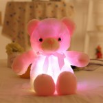 LED Bear Manufacturer - Dropshipping 50cm