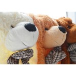 Teddy Skin Manufacturer - Unstuffed Giant Plush