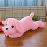 Glow Animal Manufacturer - 35cm Birthday Gift