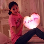 Heart Pillow Manufacturer - Wholesale Appeasing