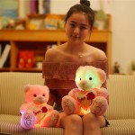 Glow Bear Manufacturer - Children Birthday Gift